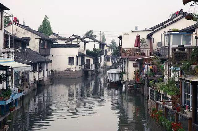 吃水果的蛇